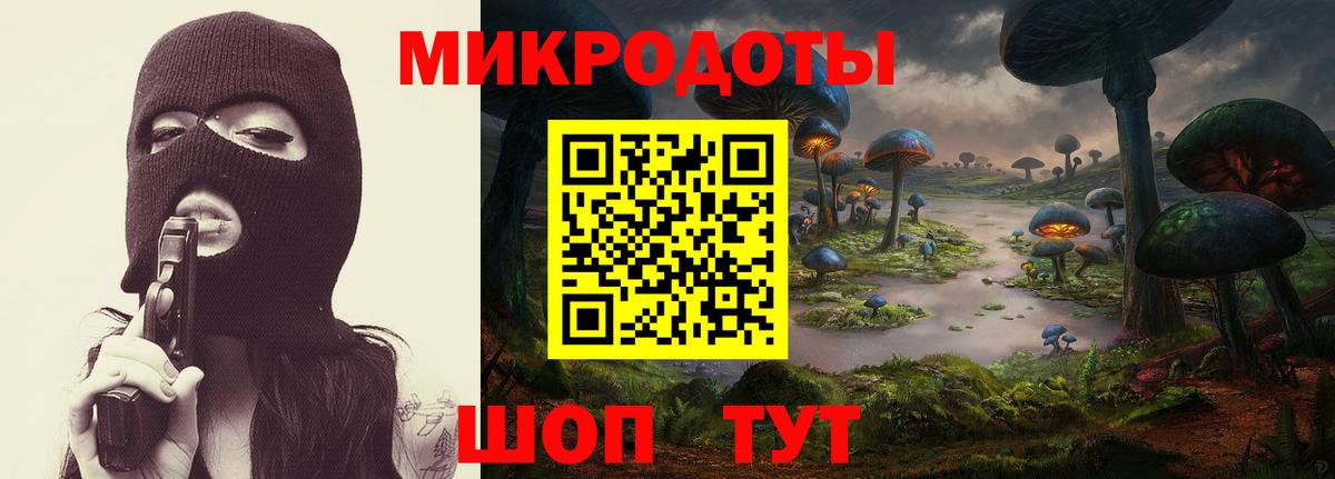 Псилоцибиновые грибы Psilocybe  Псилоцибиновые грибы прущие грибы  хочу   Вязники  Вход с VPN 